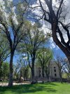 IMG_3241.jpeg
