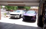 TWINS 109_1184.jpg