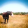 DDSC8-4-Edit-2.jpg