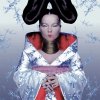 Björk - Homogenic.jpg