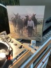 IMG_0378.jpeg