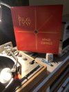 IMG_0383.jpeg