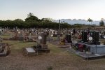 _CMY0310.jpg