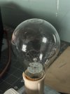 IMG_3627.jpeg