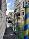 IMG_6282.jpeg