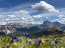 View from Seceda.jpeg