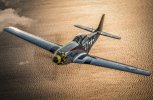 P51-1.jpg