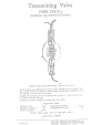 1781981279068.png