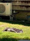IMG_1215.jpeg