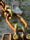 IMG_7652.jpeg