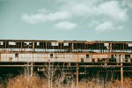 IMG_1280.jpeg