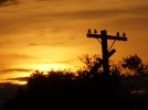 may09barns quarterposts 027.jpg