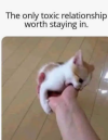 1782430430314.png