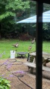 IMG_0686.jpeg