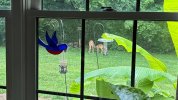 IMG_0687.jpeg