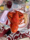 IMG_7245.jpg