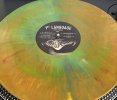 Max Ribner - 1st Language vinyl.jpg