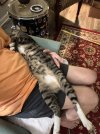 IMG_3159.jpeg