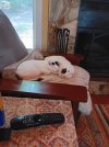snuggle.jpg