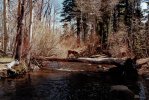 jaime at sherwin trail (small) - Copy.jpg