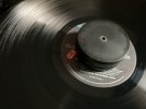 IMG_1355.jpeg