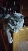 IMG_20260713_033427965.jpg