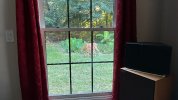 IMG_0869.jpeg