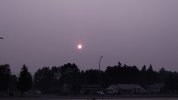 IMG_20260715_194557996.jpg