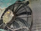 RadFan-WideView_1687.jpeg