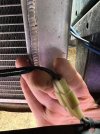 RadFan-Plug_1691.jpeg