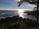 IMG_0177.jpeg