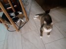 20260627_194553.jpg