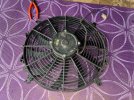 Fan-On-Mat_1744.jpeg