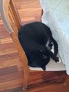 20260713_145151.jpg