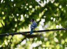 DSC_0687.JPG