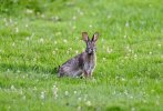 DSC_0773.JPG