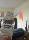 IMG_3223.jpeg