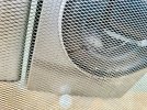 IMG_6271.jpeg