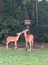 IMG_0605.jpeg