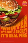 whooper.jpeg
