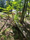 20260723_093421.jpg