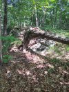 20260723_093512.jpg