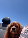 IMG_4744.jpeg