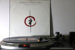 Andreas Vollenweider - Dancing With The Lion__1200.jpg