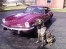 Brigg and GT6.jpg