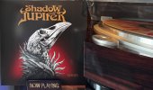 IMG_6590.jpeg