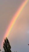 IMG_3497.jpeg