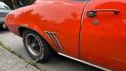 IMG_7502.jpeg