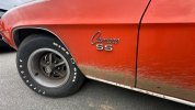 IMG_7499.jpeg