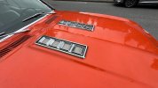 IMG_7497.jpeg